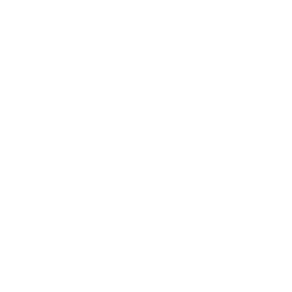 Noctia Logo